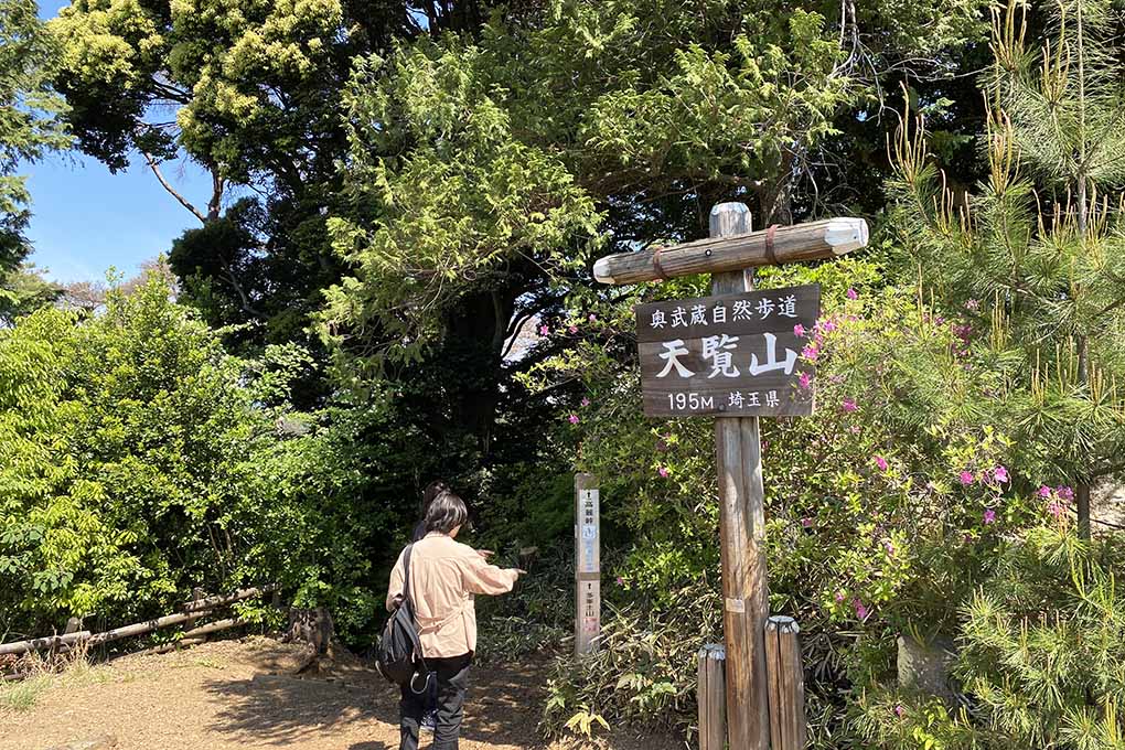 飯能 ハイキング 天覧山