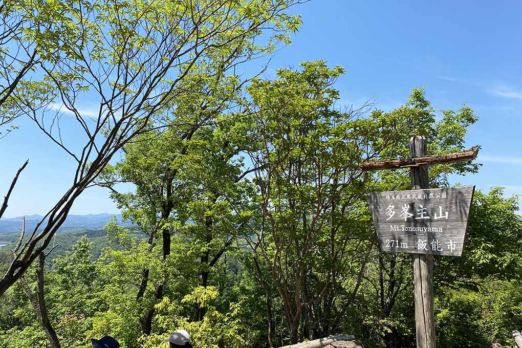 飯能 ハイキング 多峯主山