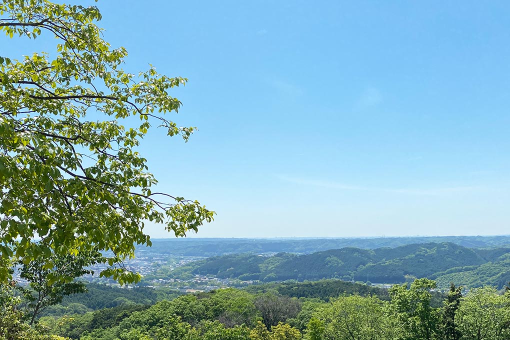 飯能 ハイキング